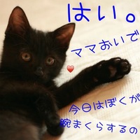 ルイ