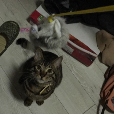 の写真