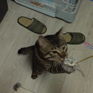 の写真