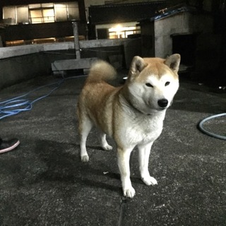 調整にはいりました。