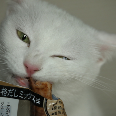 おやつタイムのあんずさん。