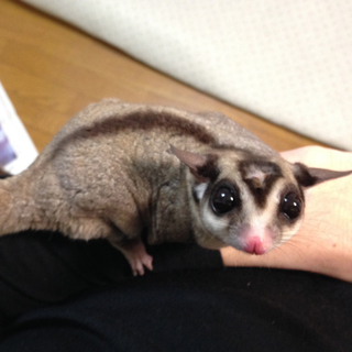 たくさんのご応募ありがとうございました。