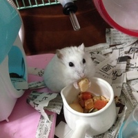 オラフ