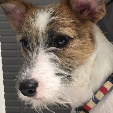 だいぶ顔つきが優しくなった、かな