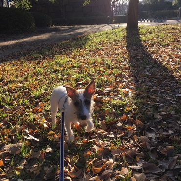 ちょっとあったかかったね、この日