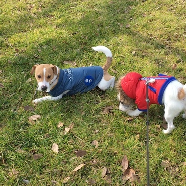 ちょっと仲良し風