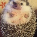 ありがとうございました！