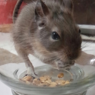 沢山のご応募ありがとうございました。