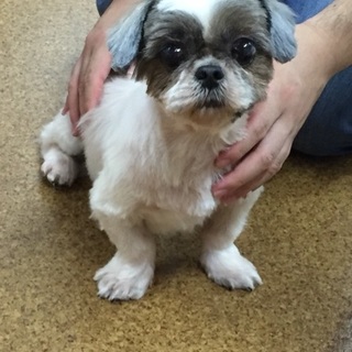 優しい家族に出会えました。