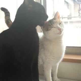 セットでトライアル決定♪