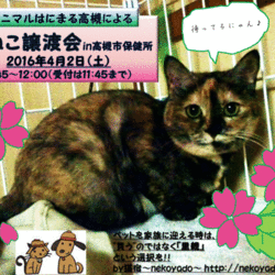 アニマルはにまる高槻による「犬ねこ譲渡会」