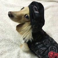 ミント