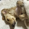 の写真
