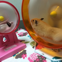 「見ていて楽しい。」サムネイル2