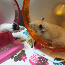 「見ていて楽しい。」サムネイル3