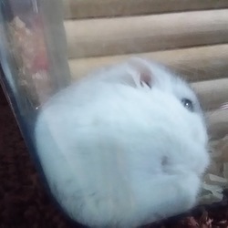 「なぜそこで、くつろぐ。」サムネイル2