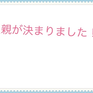 優しく人懐っこいビーグル