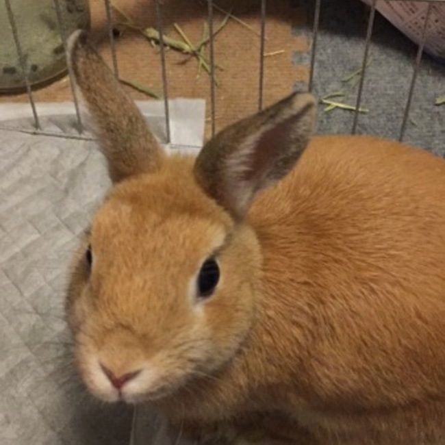 hiro74のカバー写真
