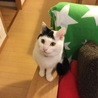 の写真