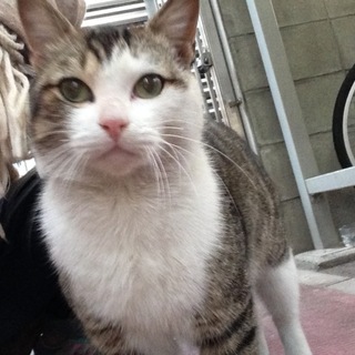 急募！甘えんぼーや♡