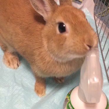 の写真