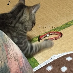 ん？遊んでるソレは何？