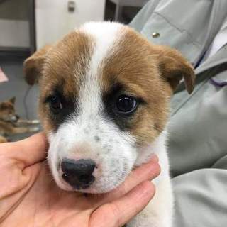 募集いったんストップします！