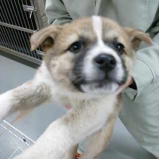 募集いったんストップします！