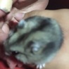 みか☆らぶ