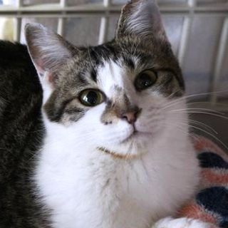 超絶甘えん坊のひばりちゃん