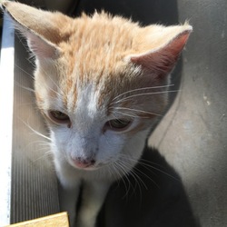 里親さん決まりました❤︎