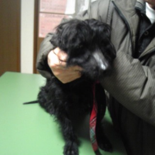 田舎道を歩いて居ました。