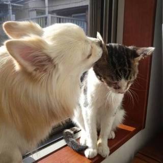 沢山のご応募ありがとうございました