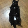 アク