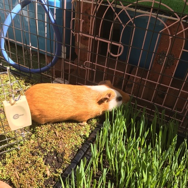 モルモルランでおやつタイム