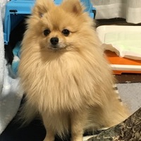 土屋 心