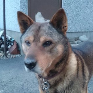 顔は怖いけどとってもフレンドリー！ジョンジョン♪