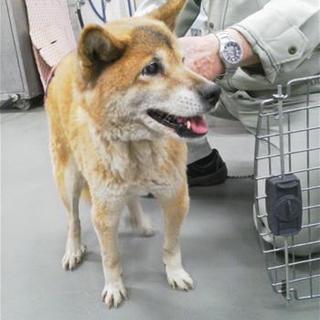 職員さんも性格イチオシのまつちゃん！