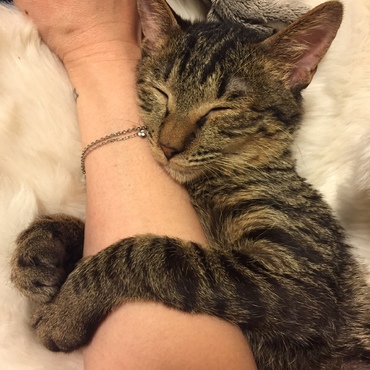 寝る子は育つ！