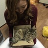 箱ダイスキ猫ちゃん サムネイル5