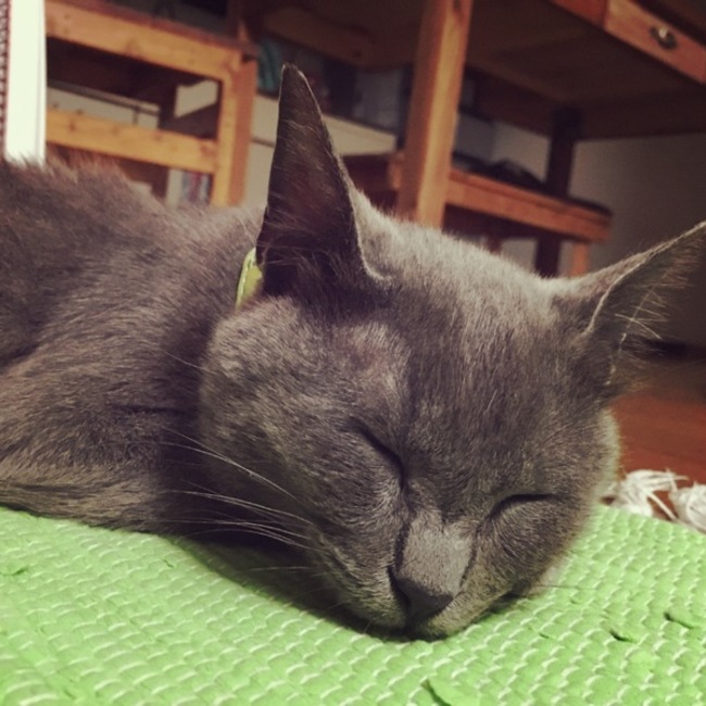 ルチアノのカバー写真