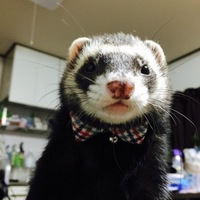 まろ