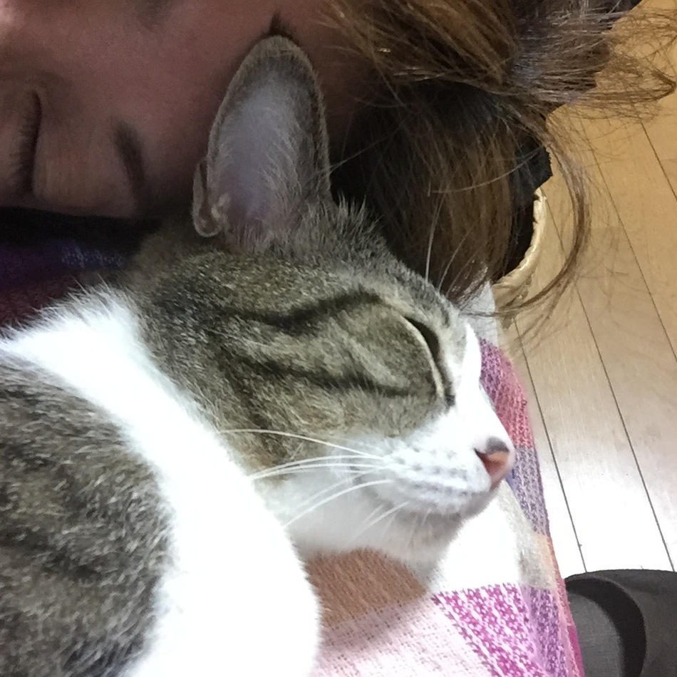 ミー助のカバー写真