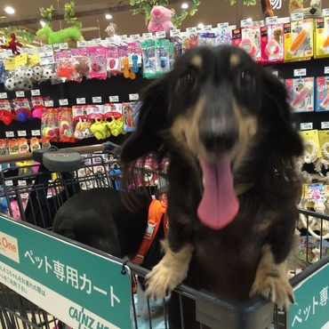 の写真