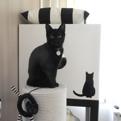 試行錯誤の２ヶ月