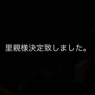 【里親様決定いたしました】ポメラニアンの男の子