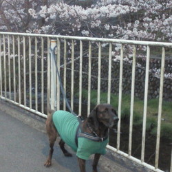 眠いけどぉ・・・(+o+)