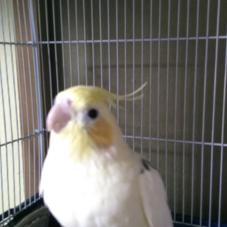 たくさんのご応募ありがとうございました。