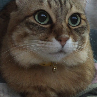 りりしいな♪