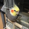 たくさんのご応募ありがとうございました。